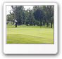 Chipping green.